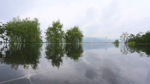 杭州园林：特色蕴于细节，匠心铸就精品