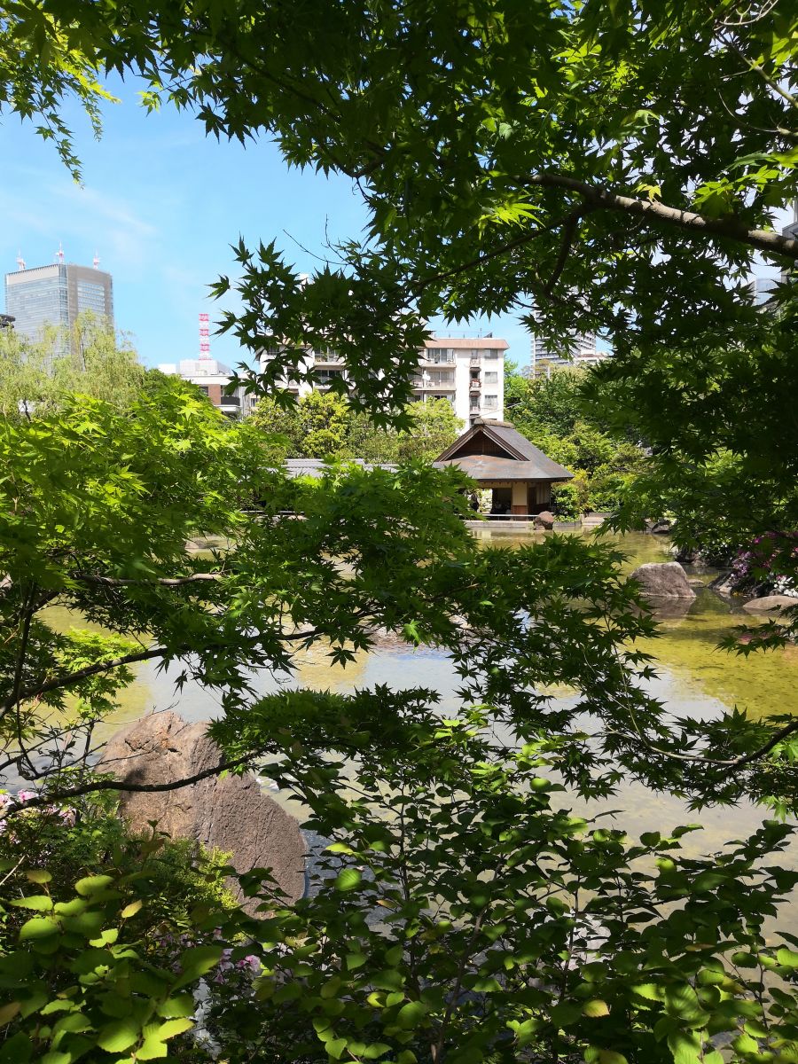 东京知名建筑与景观参访 与户田芳树大师对话