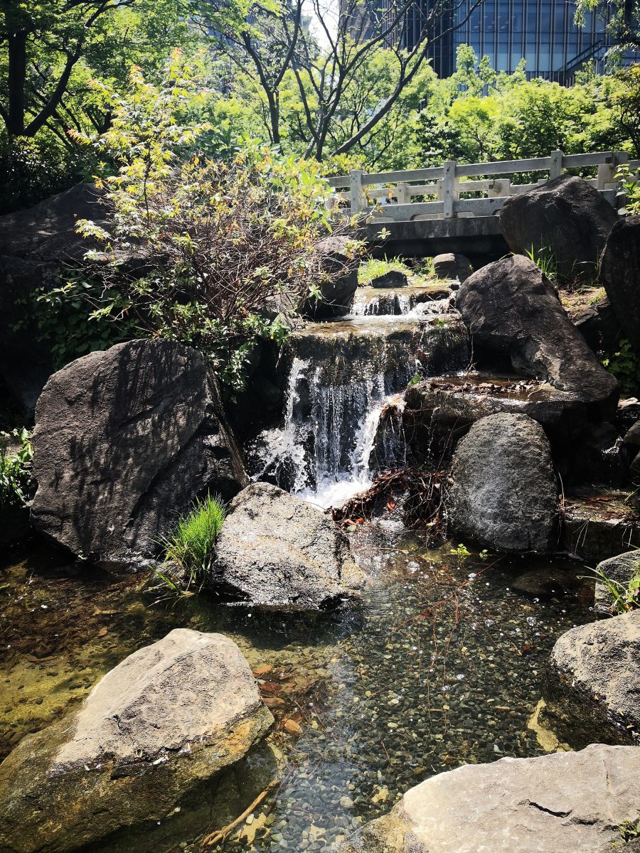 东京知名建筑与景观参访 与户田芳树大师对话