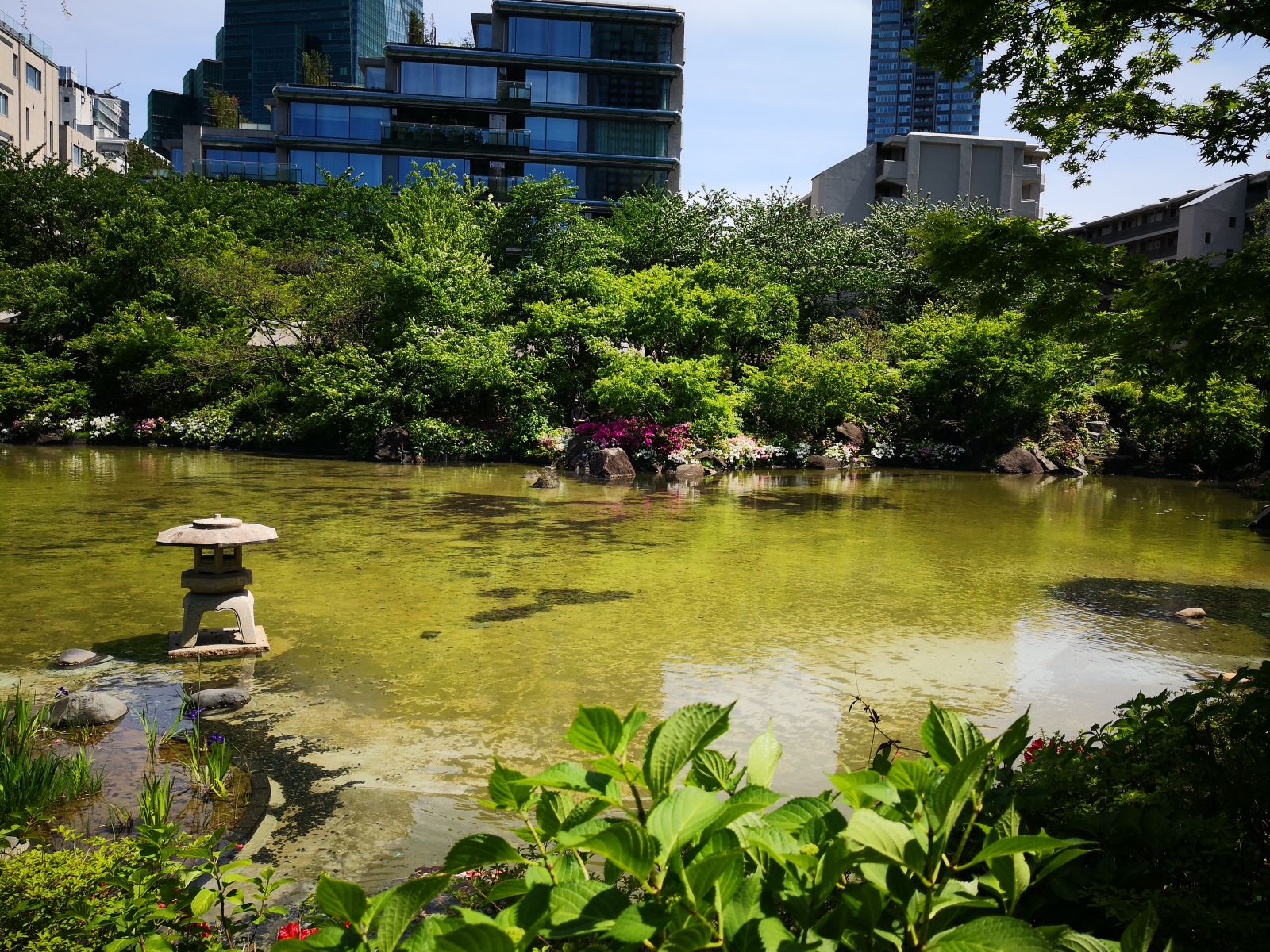 东京知名建筑与景观参访 与户田芳树大师对话