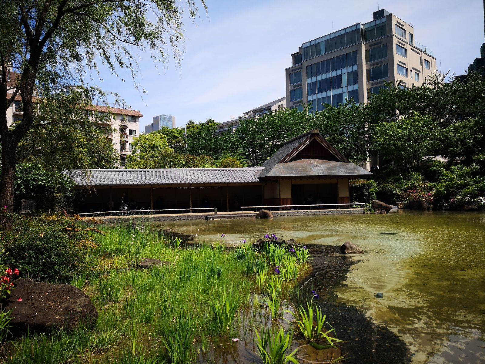 东京知名建筑与景观参访 与户田芳树大师对话