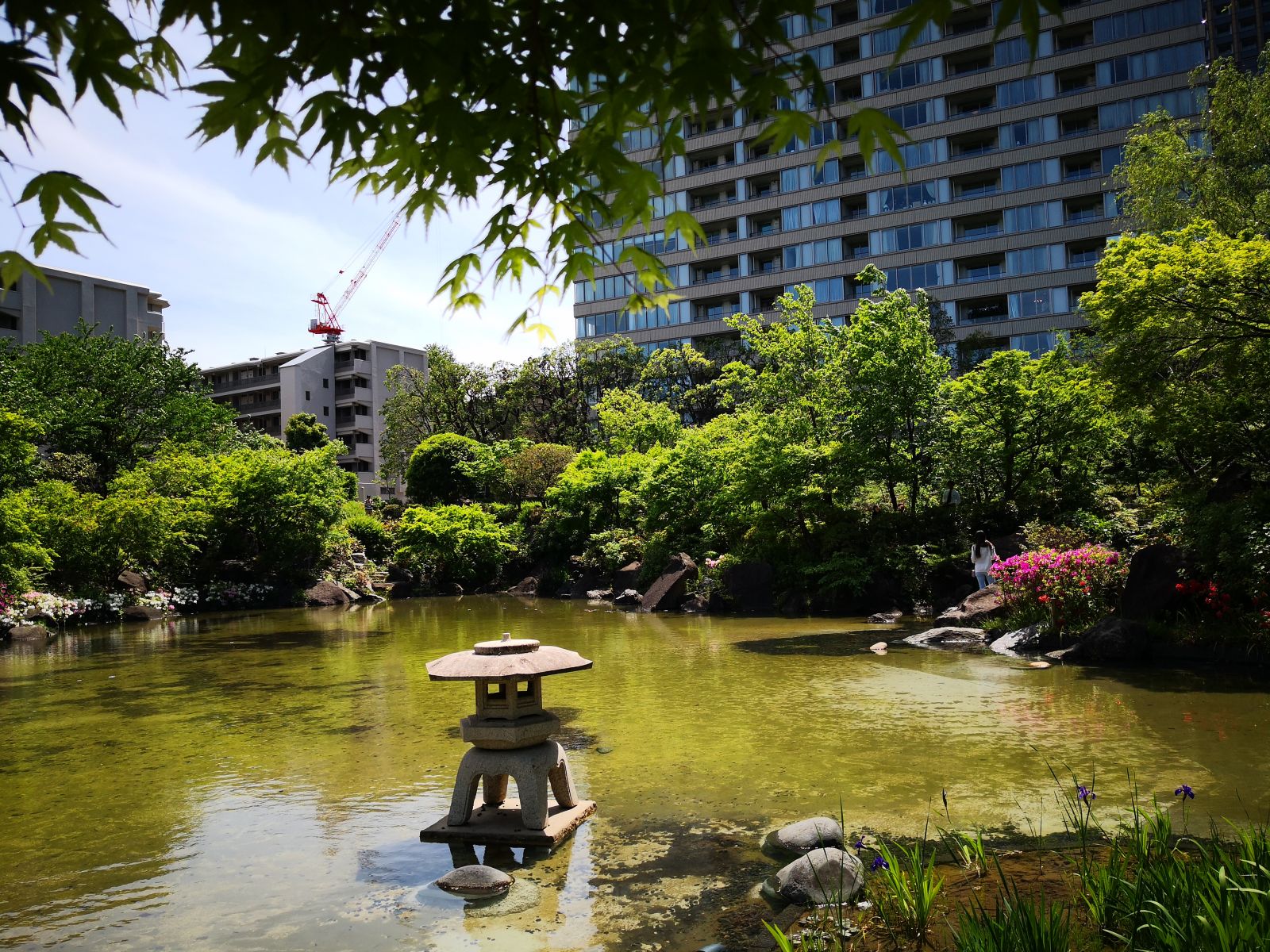 东京知名建筑与景观参访 与户田芳树大师对话