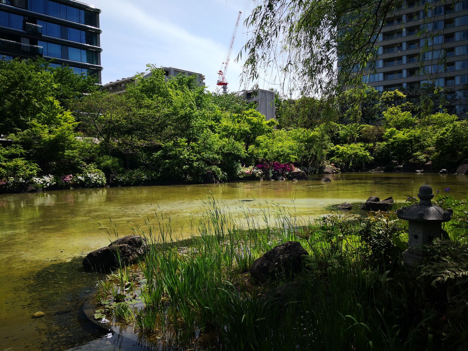 东京知名建筑与景观参访 与户田芳树大师对话