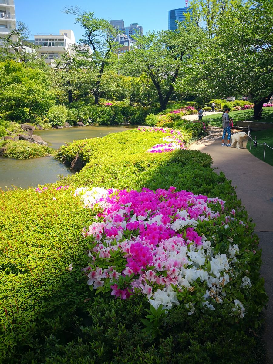 东京知名建筑与景观参访 与户田芳树大师对话