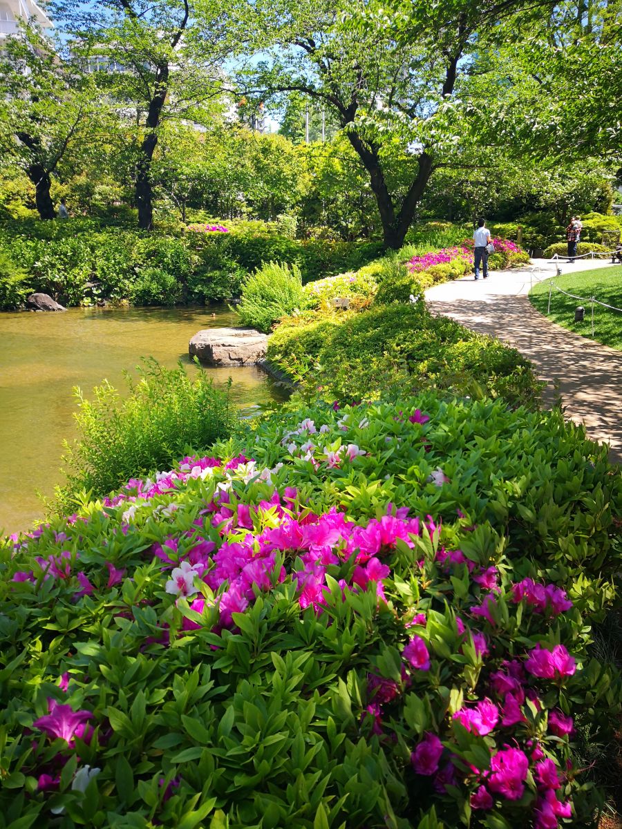 东京知名建筑与景观参访 与户田芳树大师对话