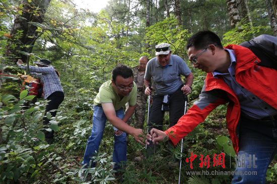 神农架管理人员入选联合国教科文组织专家库